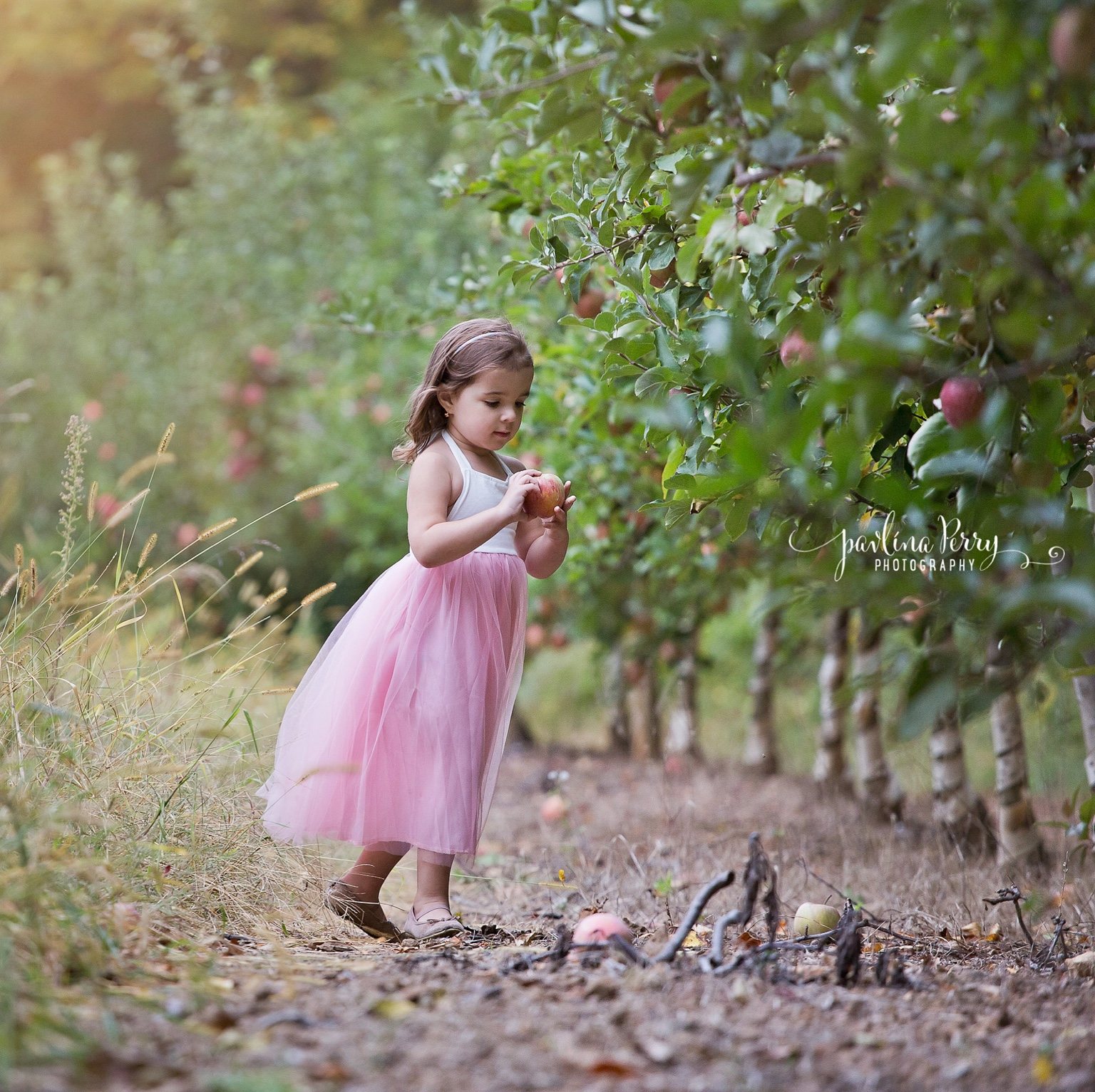 Girl in a pink dress holding an apple beside orchard trees