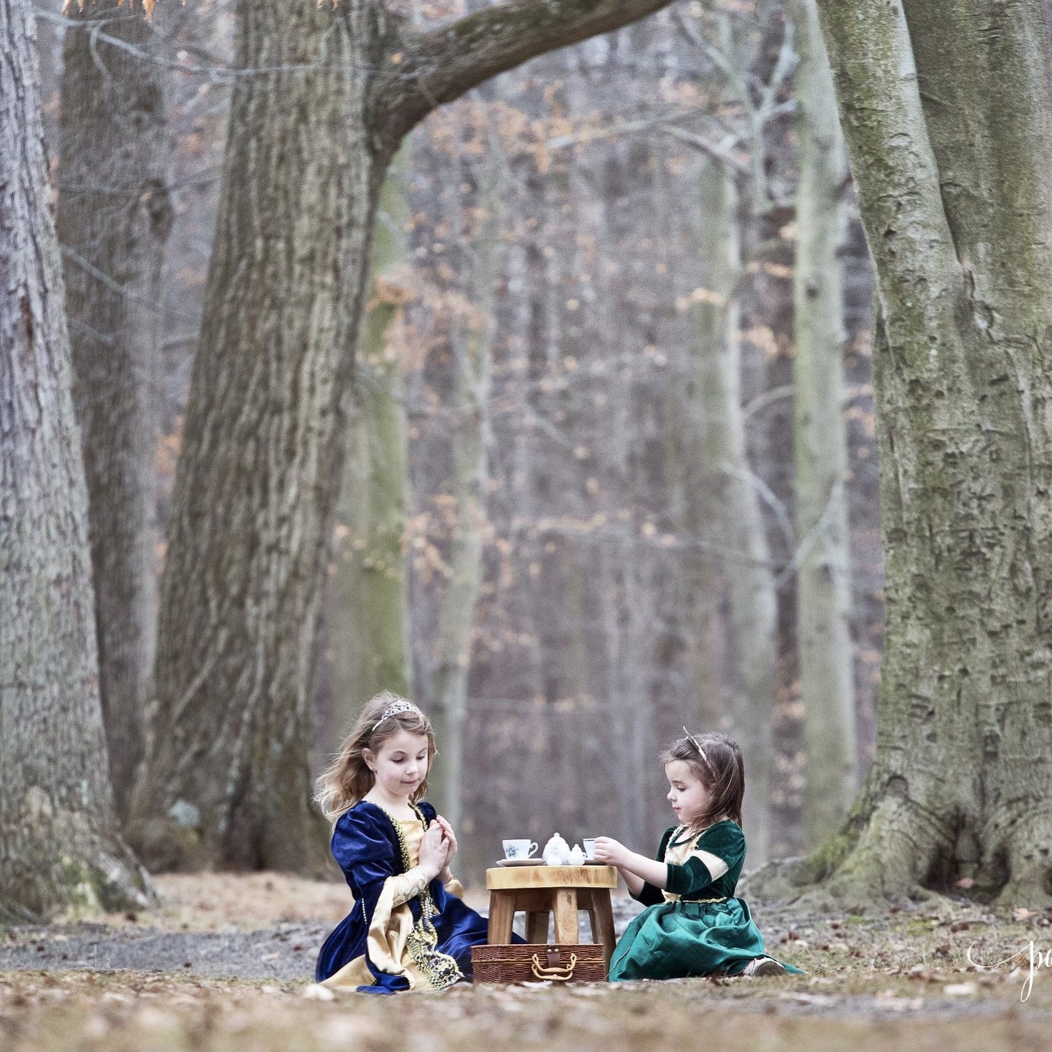 Two girls in green and blue dresses sharing a tea party beneath a woodland tree